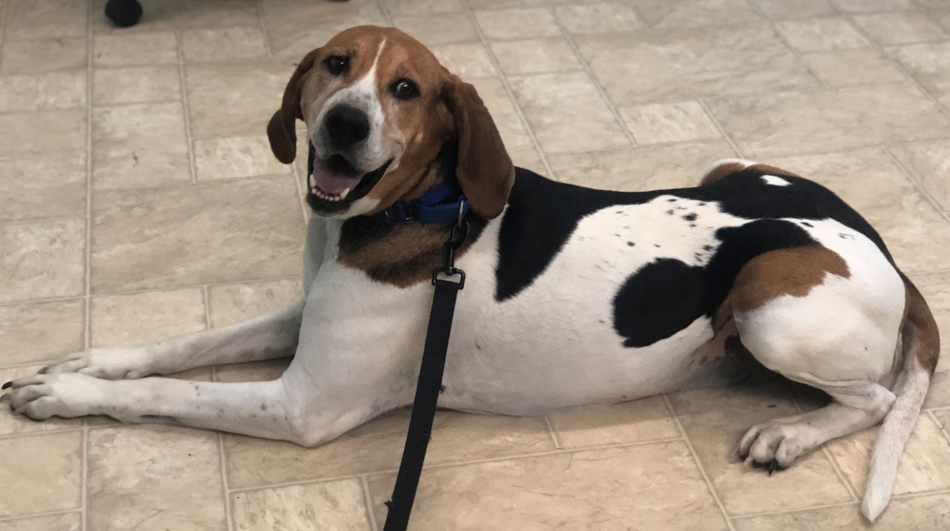 Looking for a home